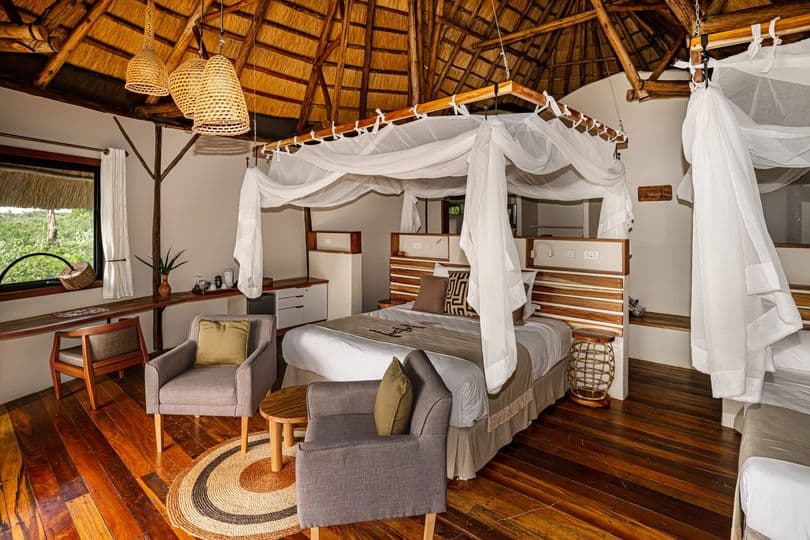 Scenic lodge views by the Nile
